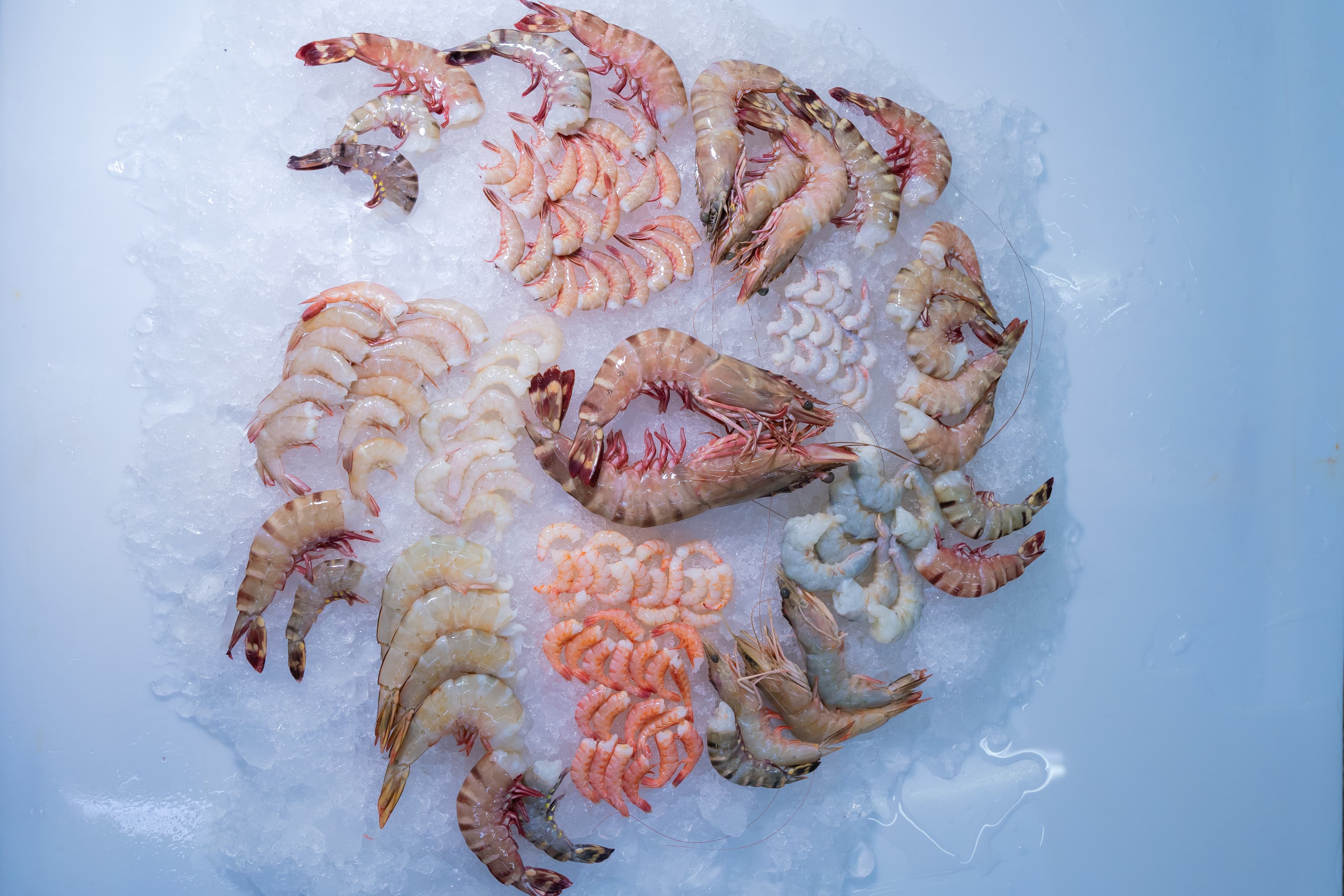 Global Seafood Cuisines
