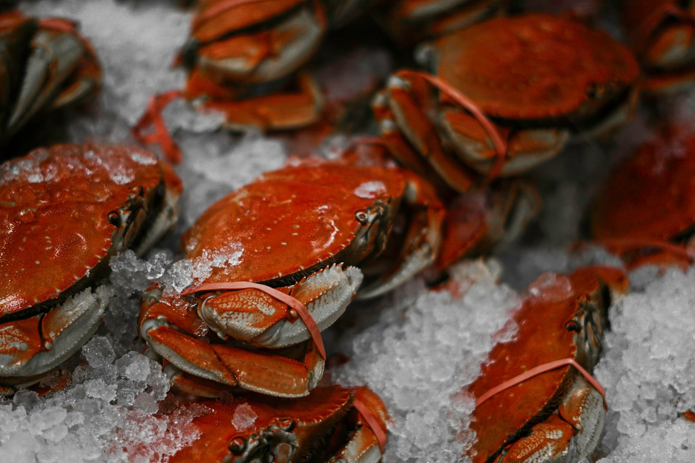 Health Benefits of Seafood