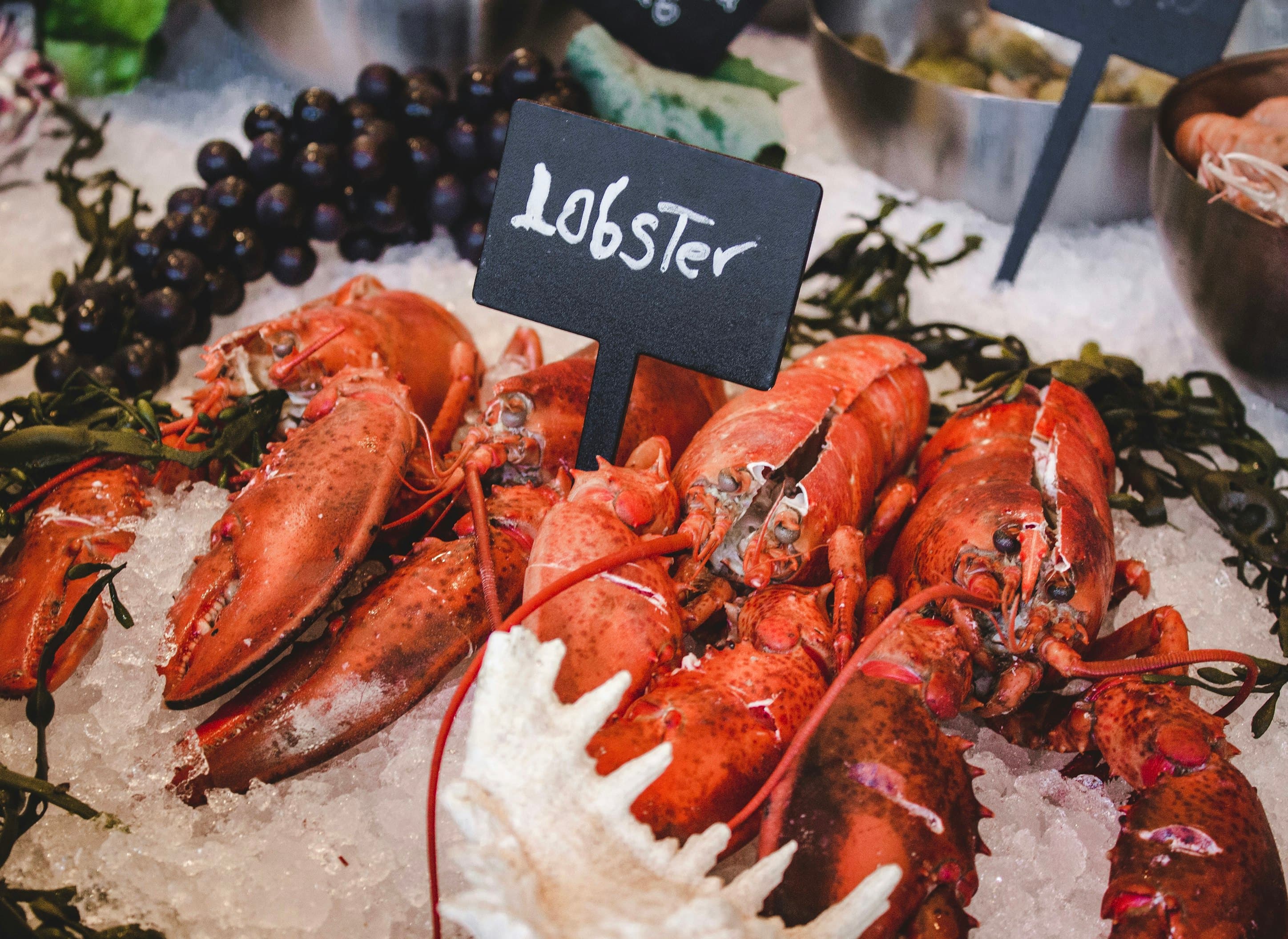 Global Seafood Cuisines