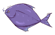 Black Pomfret